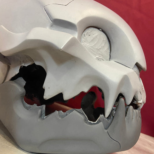 ** DISCOUNTED** SPACE CAT BLANK HELMET CAST SET
